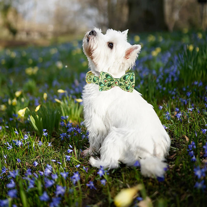 Unique Style Paws Custom Dog Collar & Bowtie