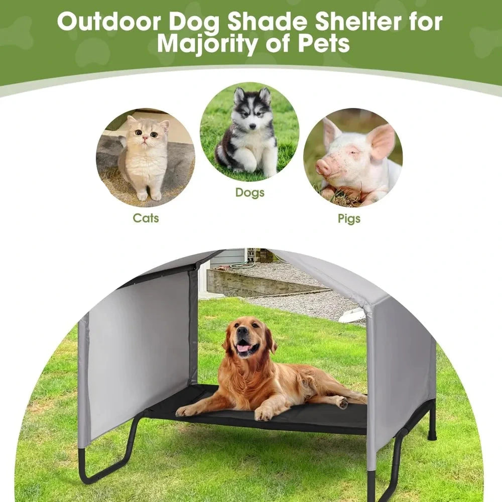 Modern Waterproof Elevated Outdoor Dog Bed w/Canopy