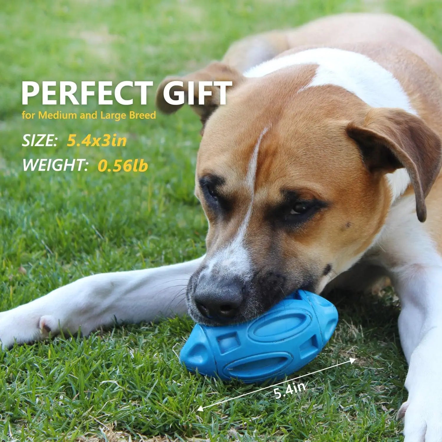 Ultra-Durable Rubber Squeaky Chew & Fetch Dog Ball