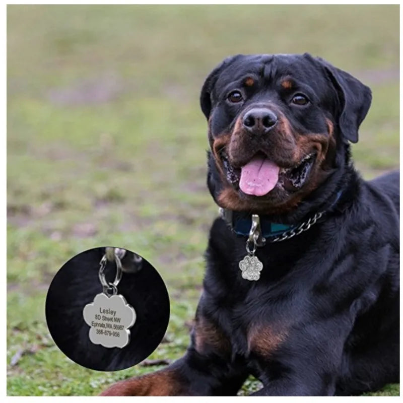 Engraved Stainless Steel Pet Pendant ID Tag