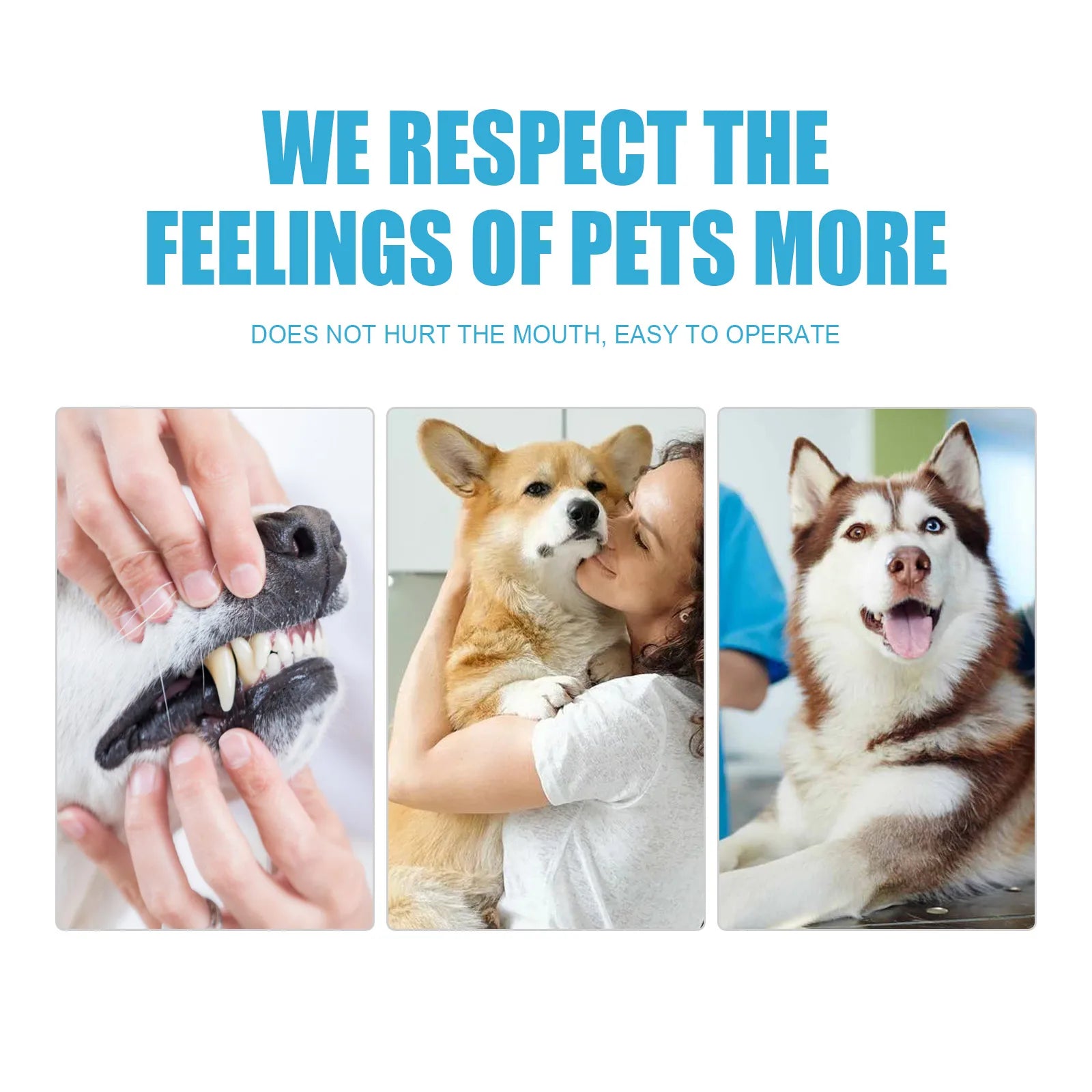 Advanced Oral Care Pet Toothpaste
