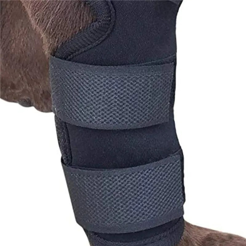2PC Dog Joint Brace Bandage Wrap