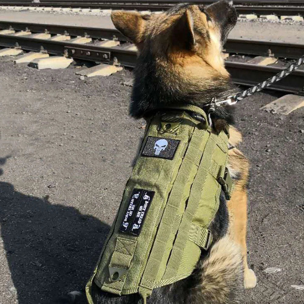 Large Dog Tactical Training Vest Harness & Leash Set