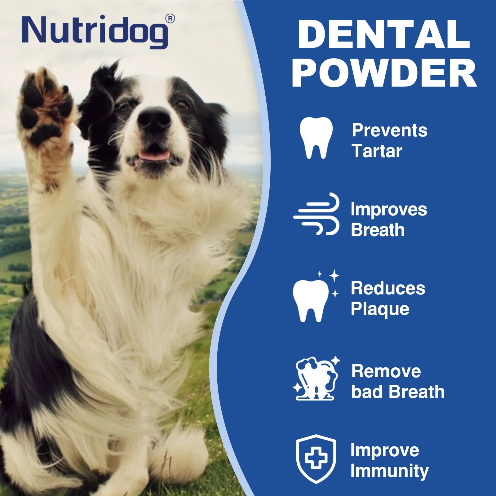 Green Tea Pet Dental Care Powder & Plaque Remover
