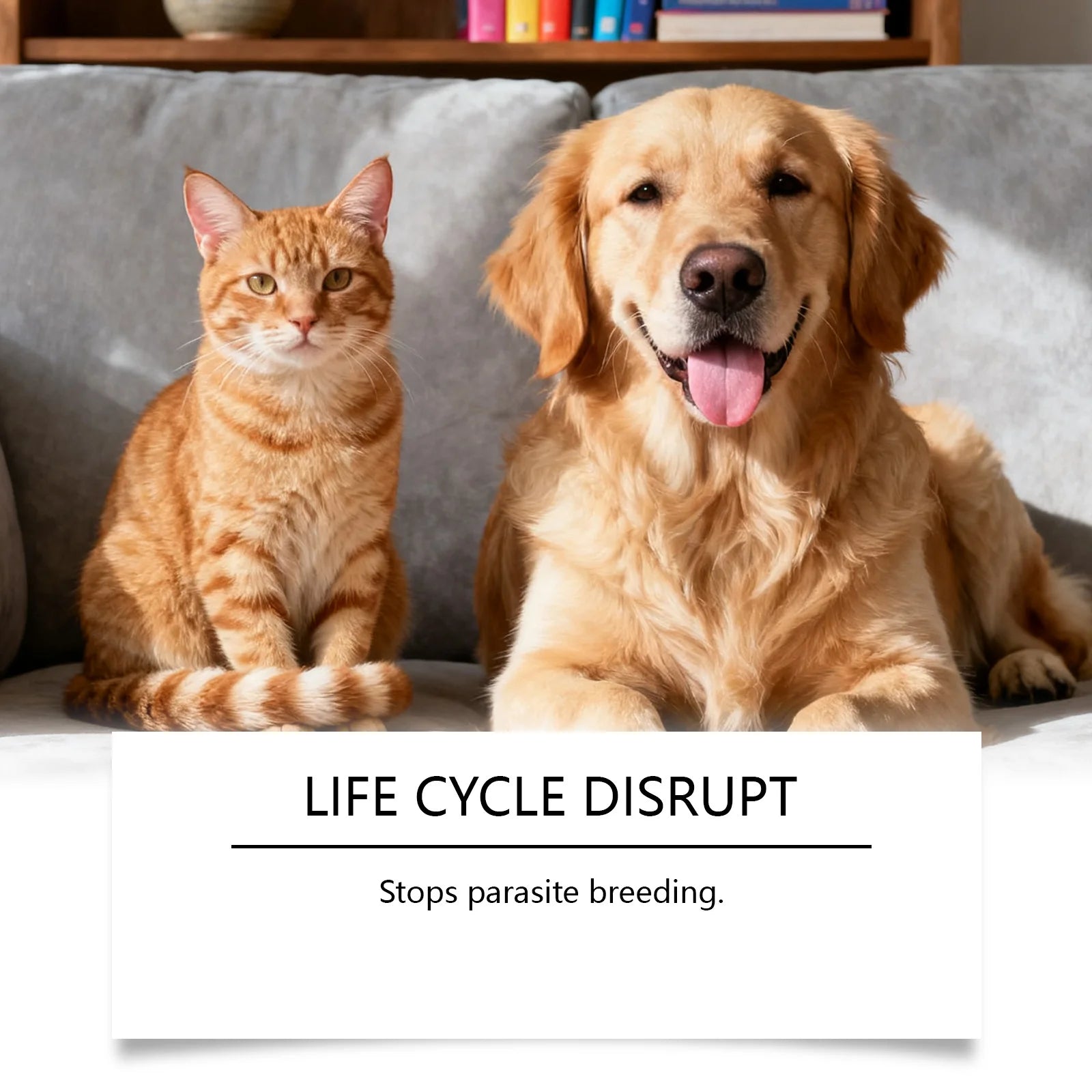 Gentle Nourishing Pet Care Flea & Tick Repellent Drops