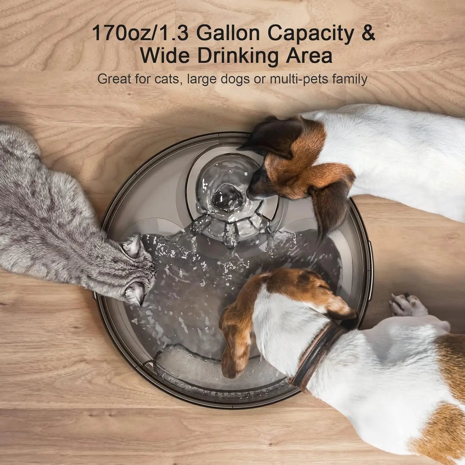 Large Automatic Multi-Pet Water Fountain