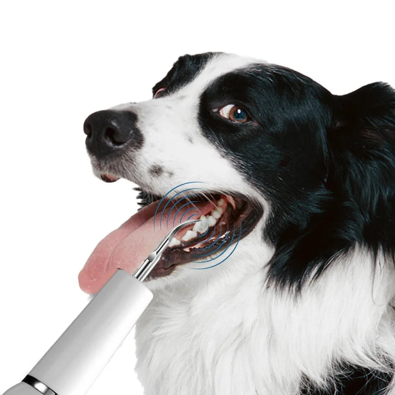 Ultrasonic Pet Dental Care Toothbrush Kit