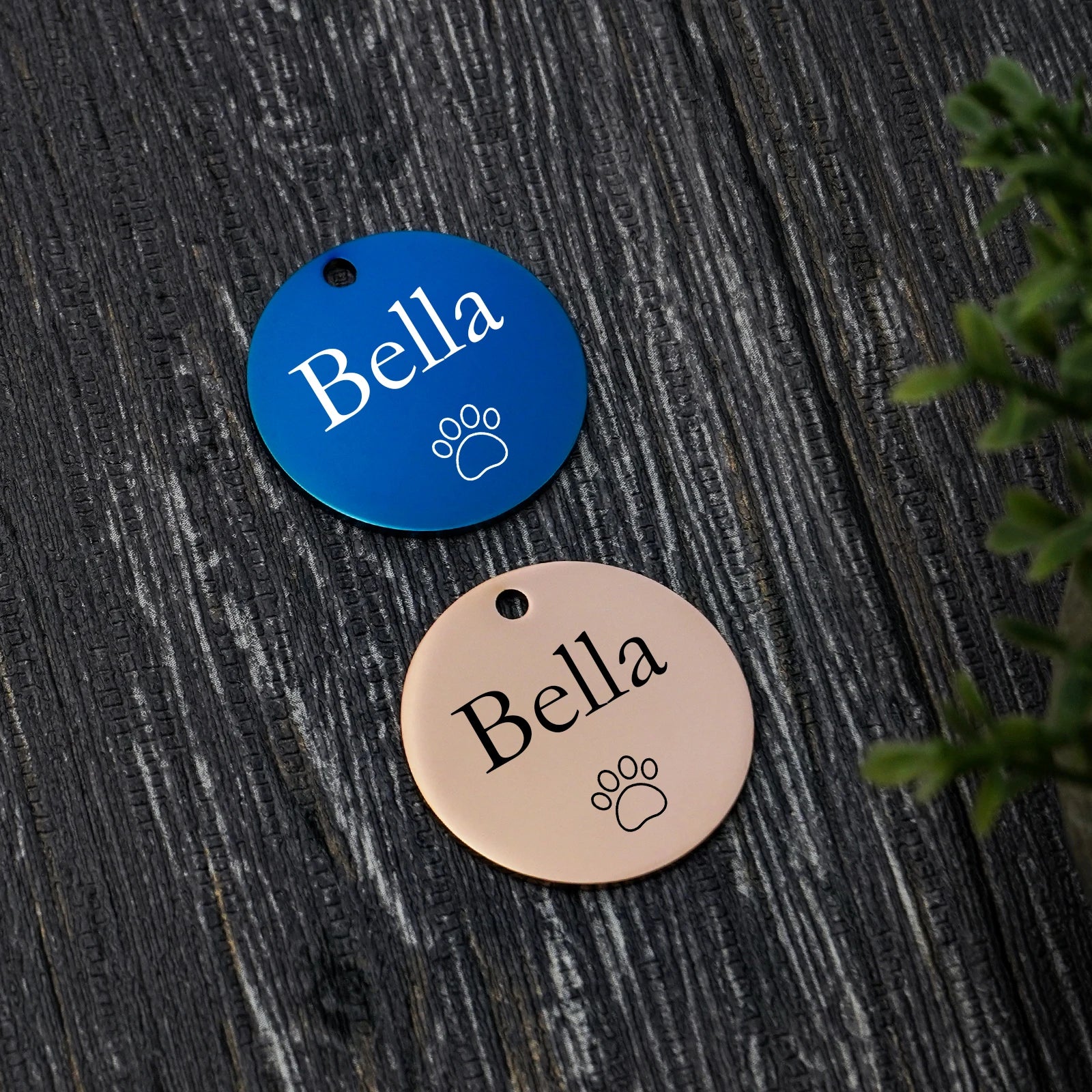 Double-Side Personalized Pet Collar ID Tag