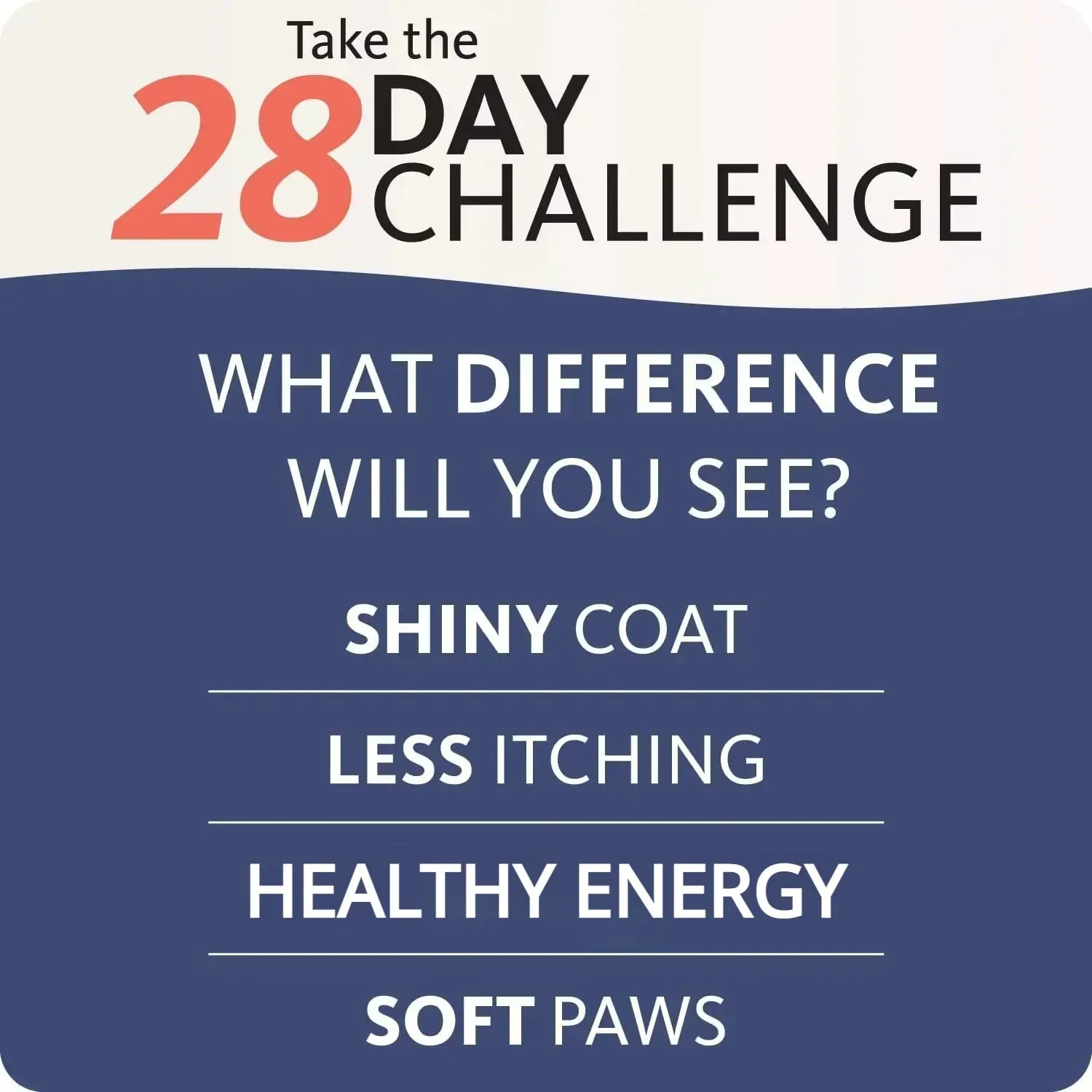 Pet Brilliant Pure Salmon Oil Omega-3 Fatty Acids Nutritional Dog Supplement