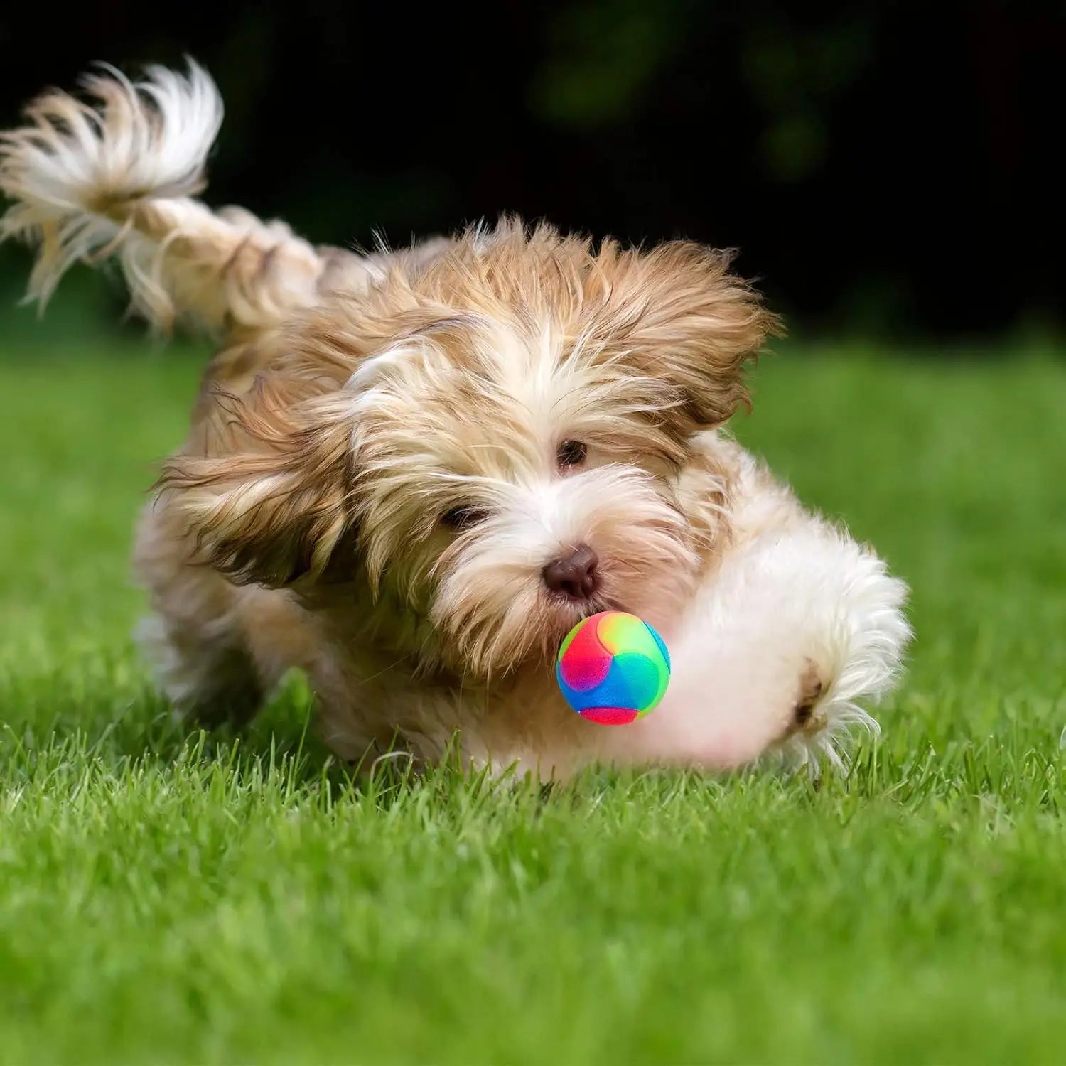 Glowing LED Flashing Elastic Pet Toy Ball