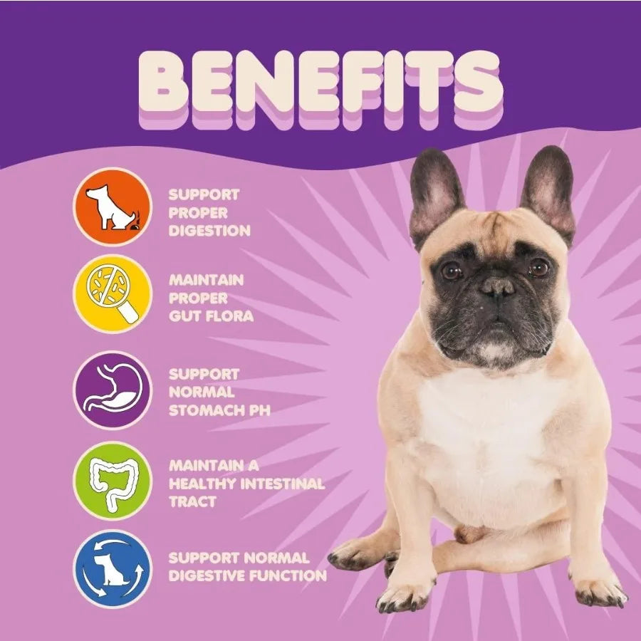 Extra Strength Dog Probiotic and Digestive Enzyme Powder