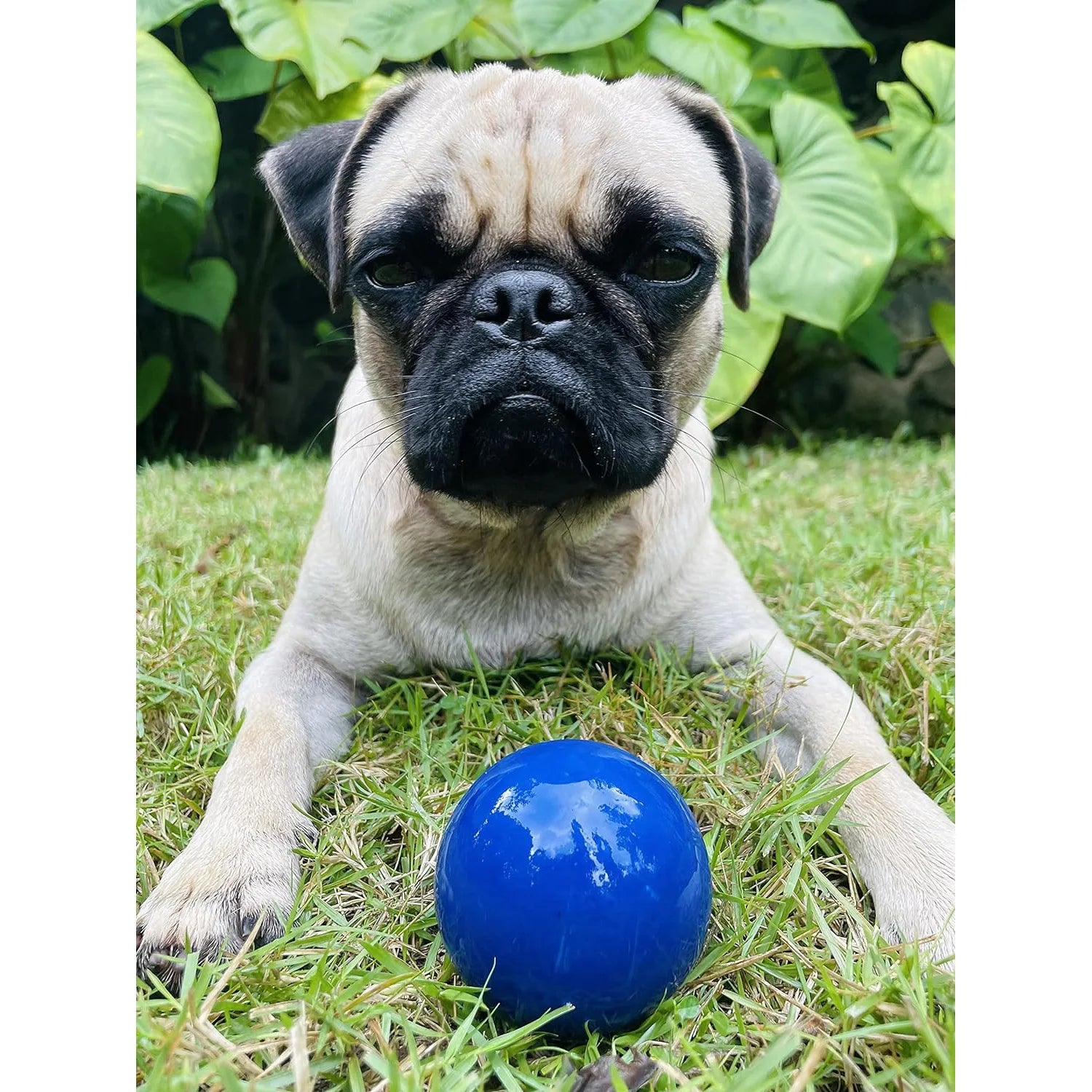 Super Chewy Tough Natural Rubber Dog Ball