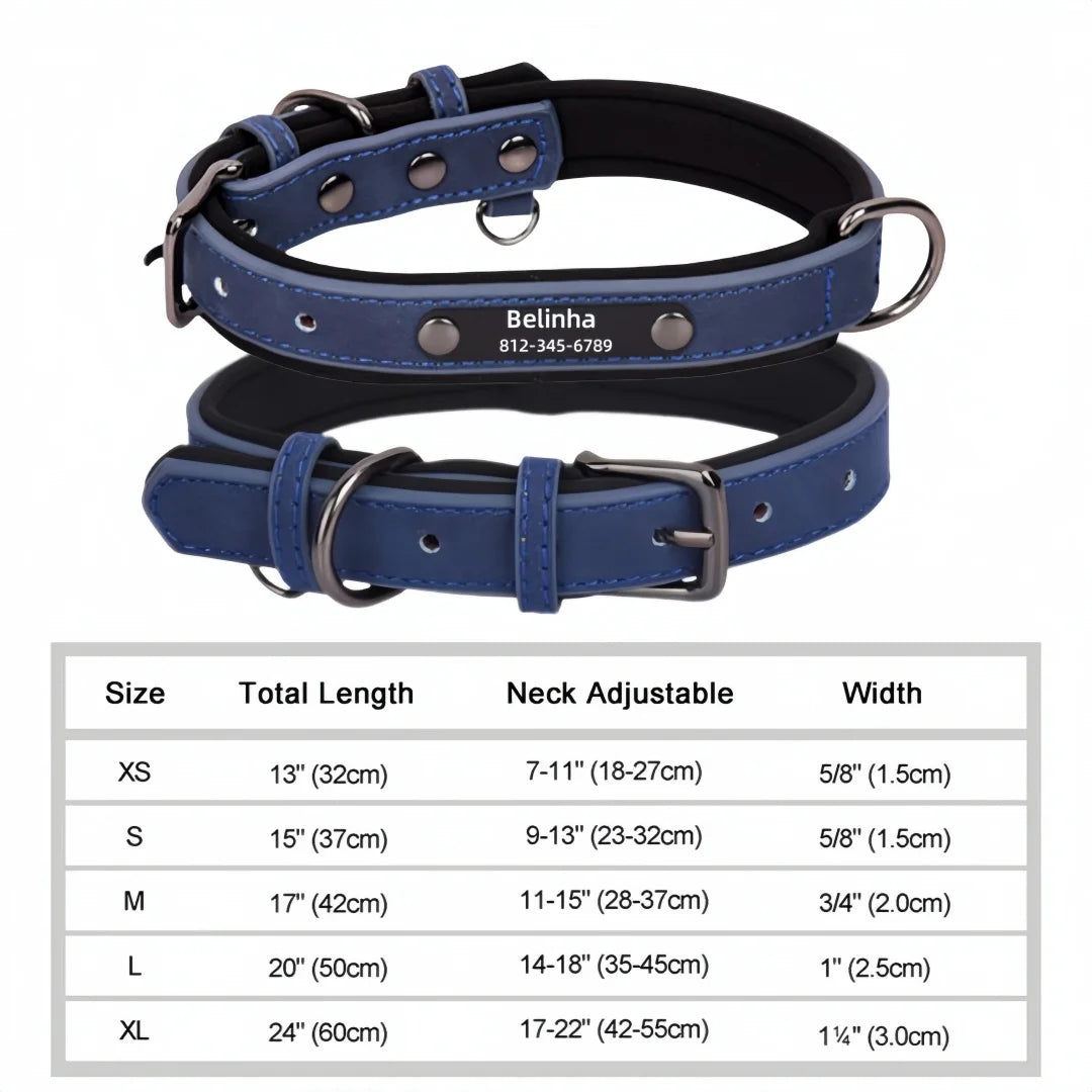 Soft Padded Leather Custom ID Dog Collar