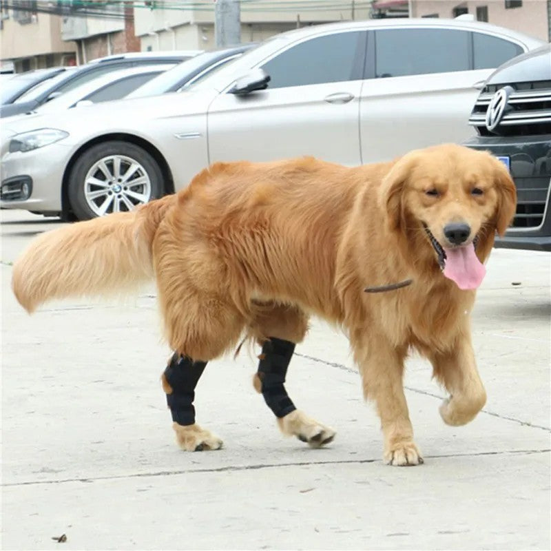 2PC Dog Joint Brace Bandage Wrap