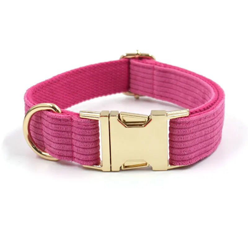 Fashion Corduroy Dog Collar w/ Gold Metal Buckle