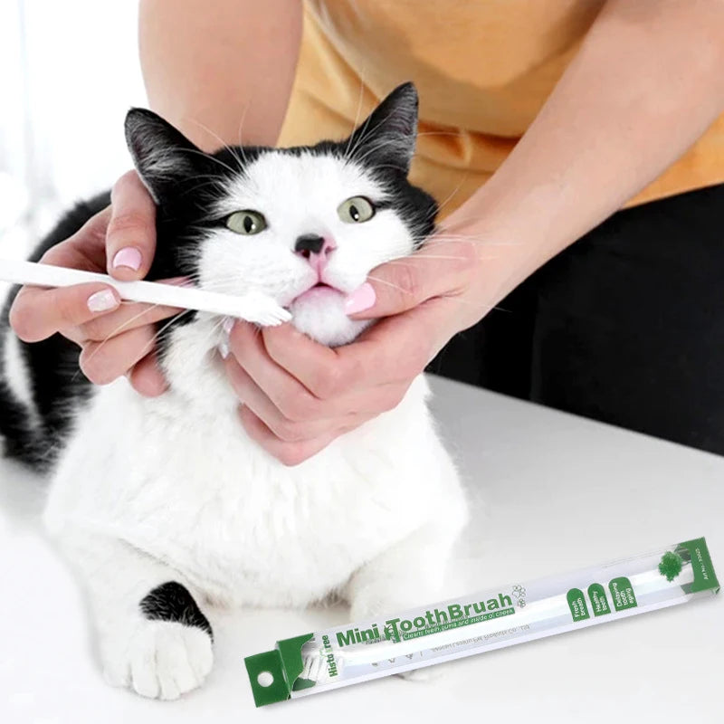 Vet Recommended Micro-Head Pet Teeth Cleaning Toothbrush