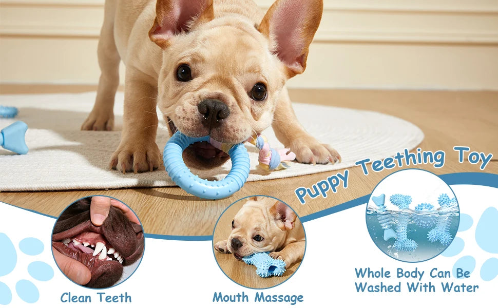 6 PC Set Soft Rubber Dog Chew Toys