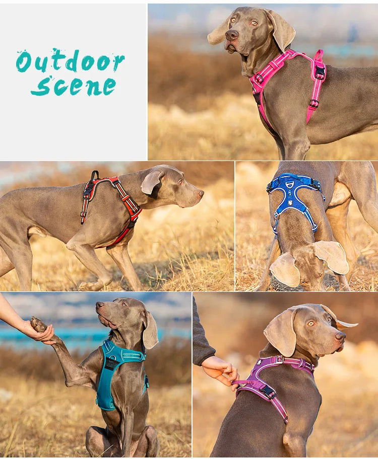 Truelove Reflective No-Pull Dog Vest Harness