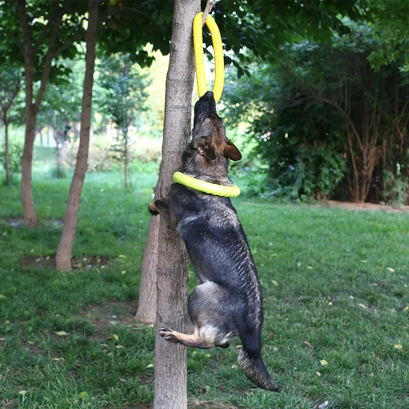 Dog Training Flying Puller Ring