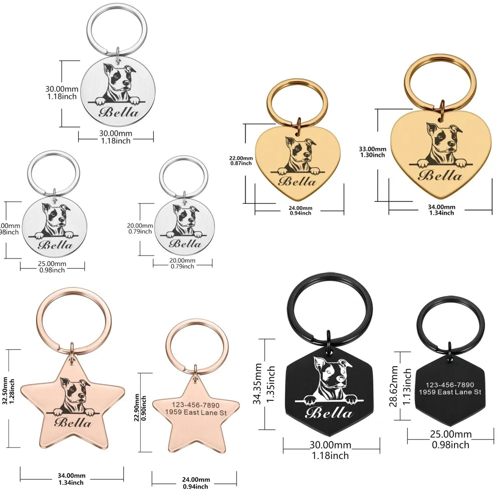 Stainless Steel Custom Engraved Pet ID Tag