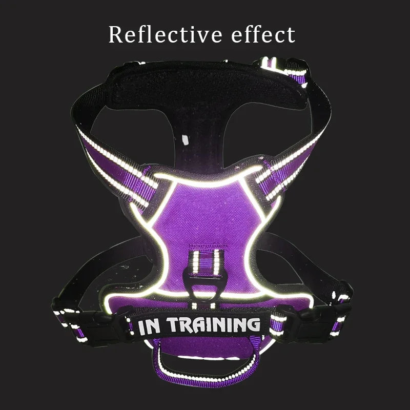 Reflective Personalized Dog Harness Vest