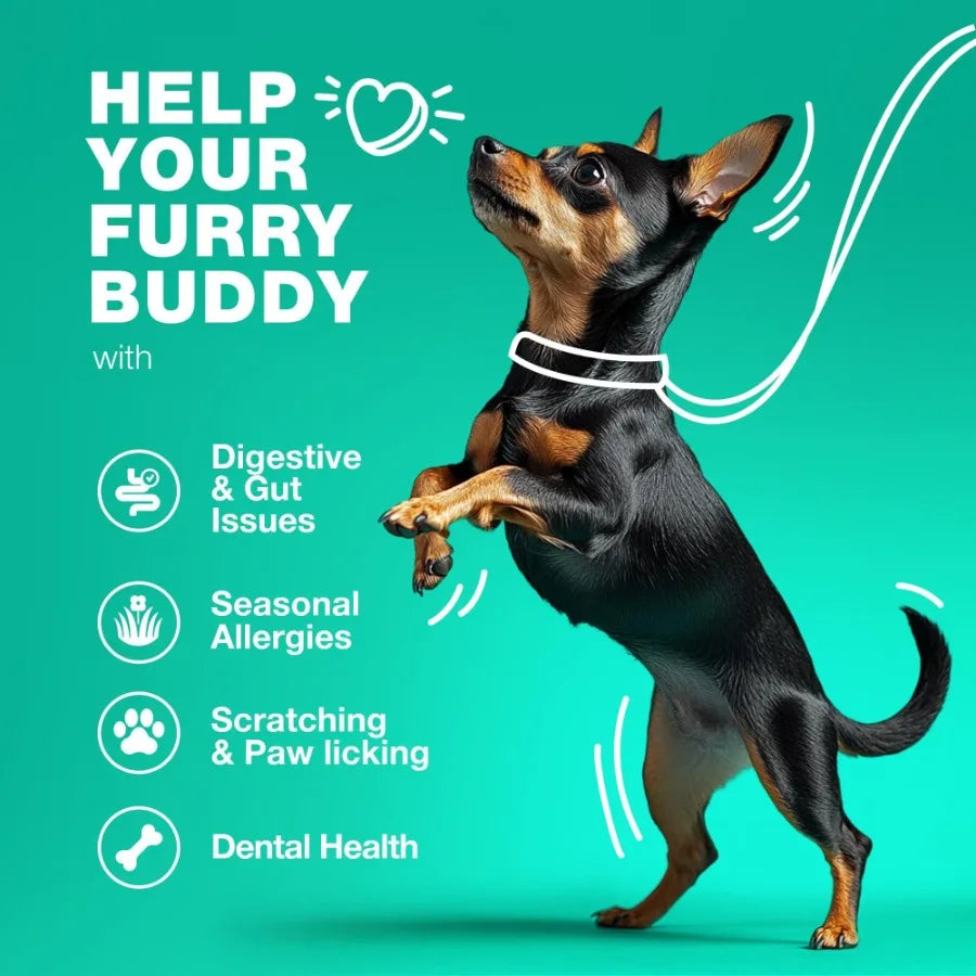 Dog Probiotic & Digestive Enzyme Soft Chew Travel Pack