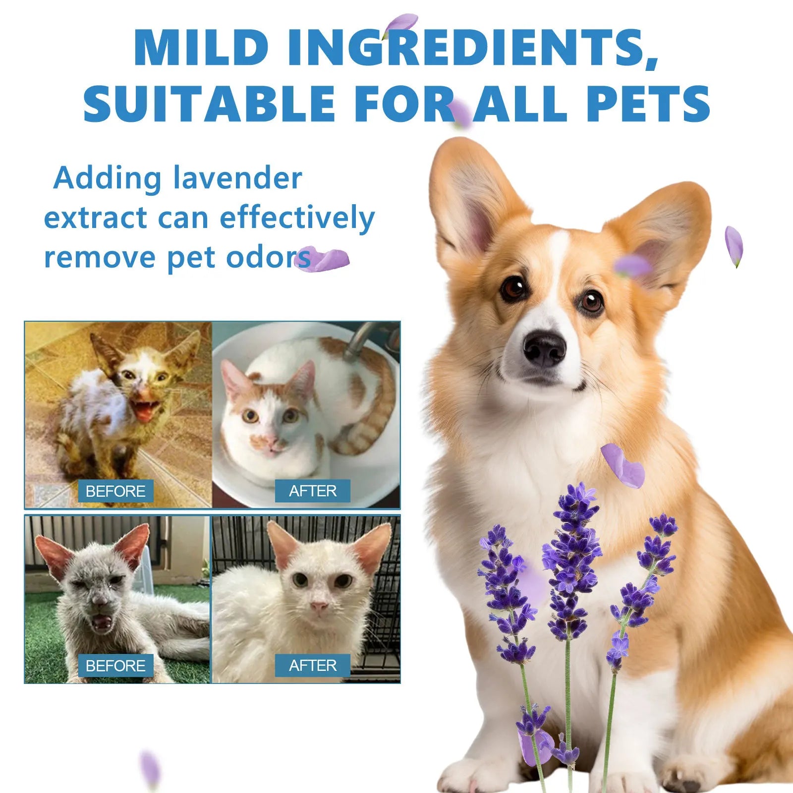 Rinse-Free Deodorizing Pet Essence Body Wash