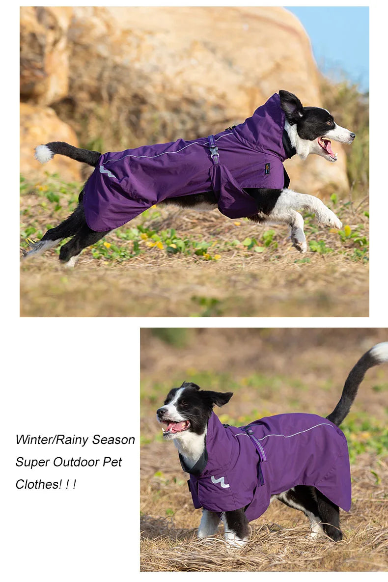 Fashion Waterproof Pet Windbreaker Rain Jacket