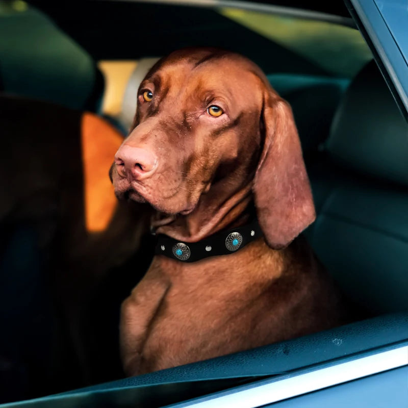 Retro Genuine Leather Dog Collar