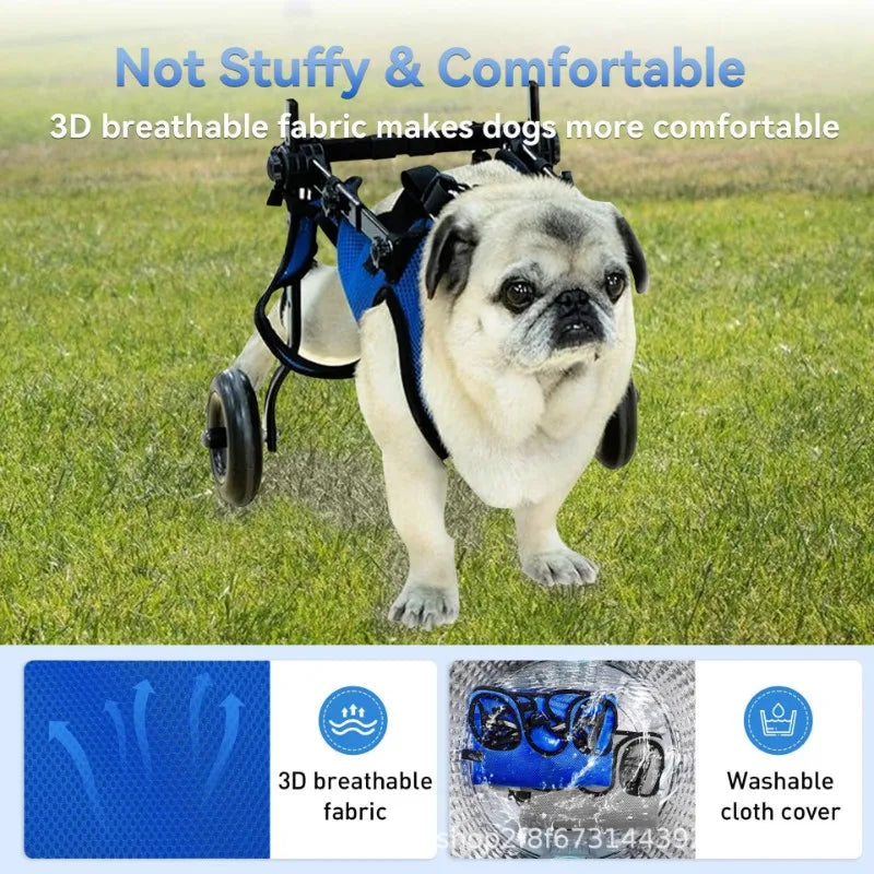 Rehab Dog Walking Assistance Vehicle