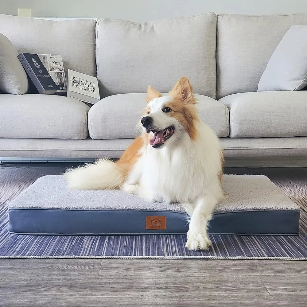 Large Egg-Foam Orthopedic Waterproof Dog Bed