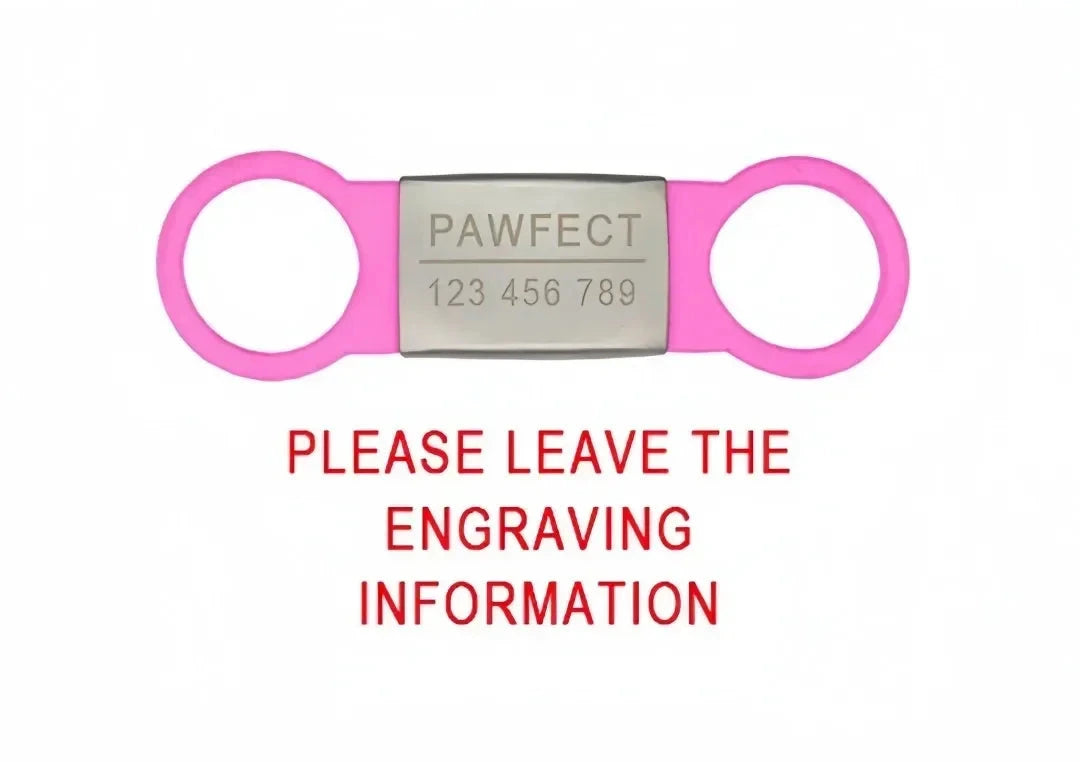 Custom Laser Engraved Pet ID Collar Charm
