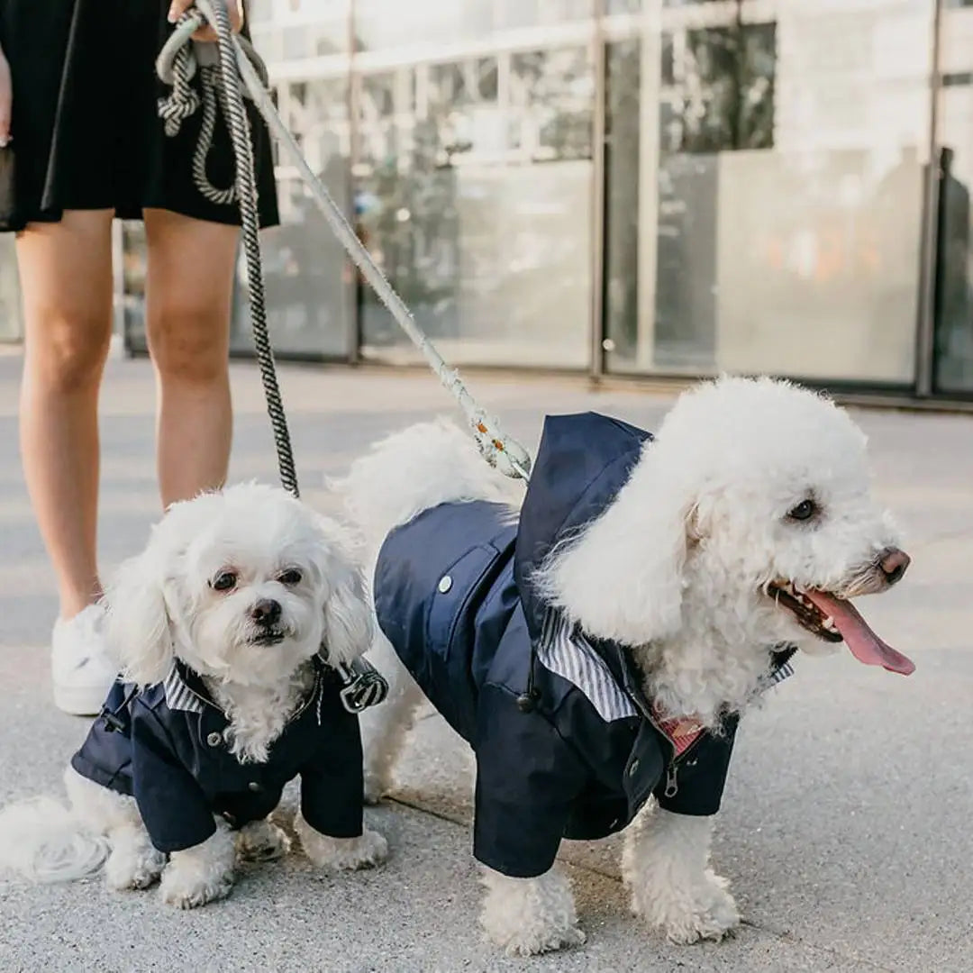 Stylish Colorful Hooded Waterproof Dog Rain Coat