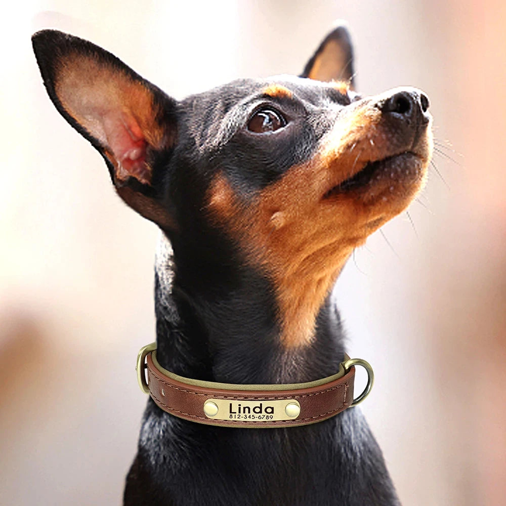 Customized Soft Padded Leather Dog Collar