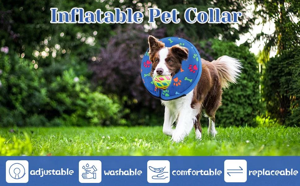 Protective Inflatable Pet Recovery Collar