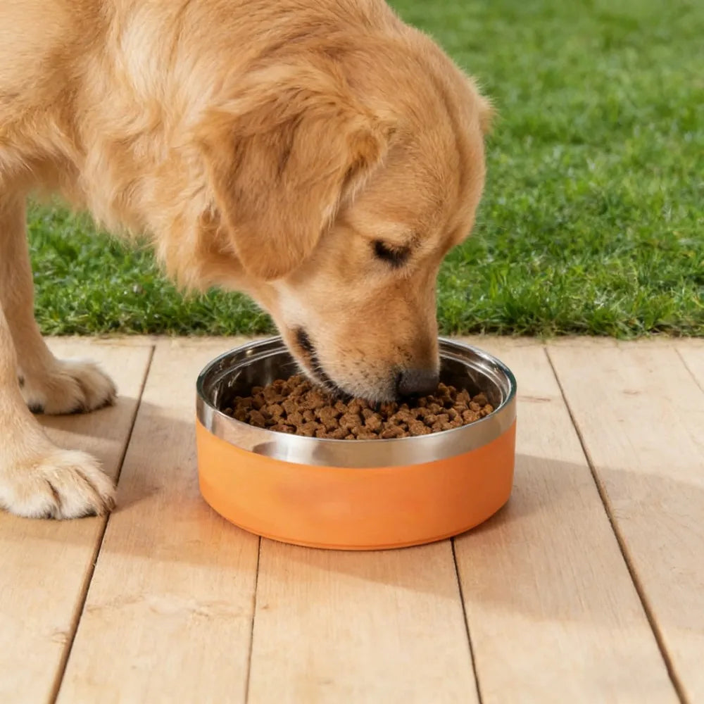 Custom Engraved Stainless Steel Non-Slip Double Layer Pet Bowl