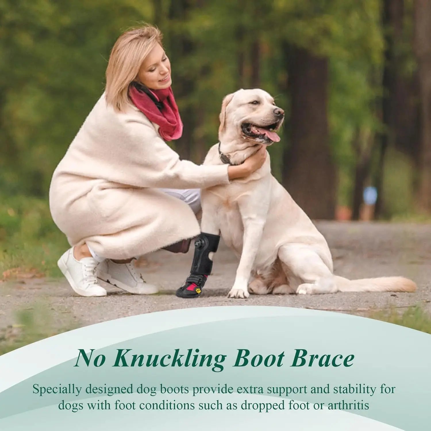Non-Skid No Knuckling Dog Boot Brace