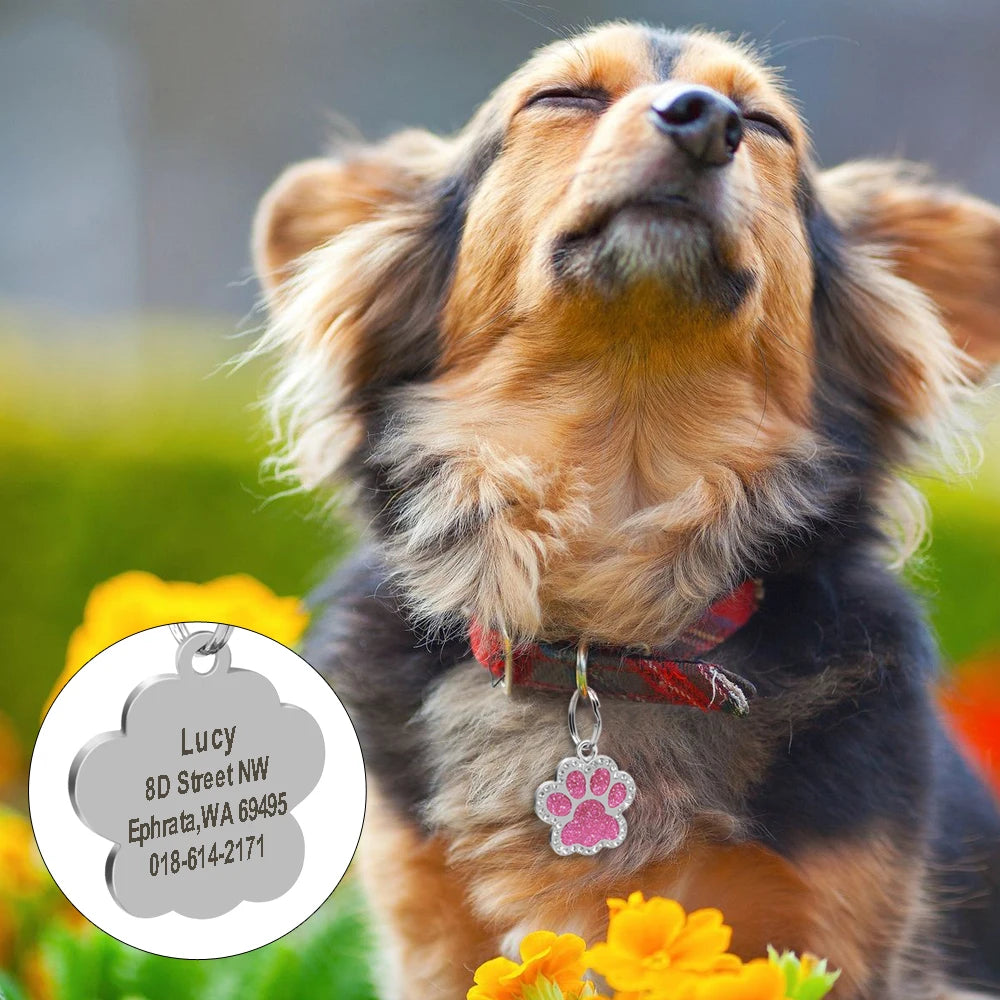 Engraved Stainless Steel Pet Pendant ID Tag