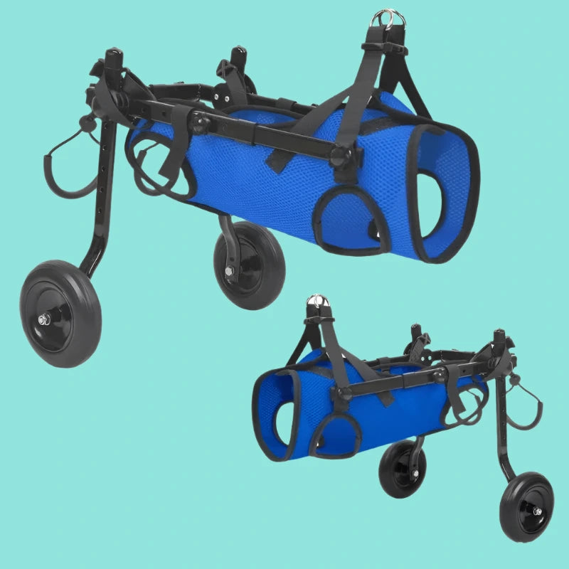 Rehab Dog Walking Assistance Vehicle