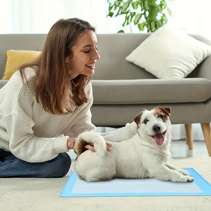 Dog Diapers &amp; Pee Pads