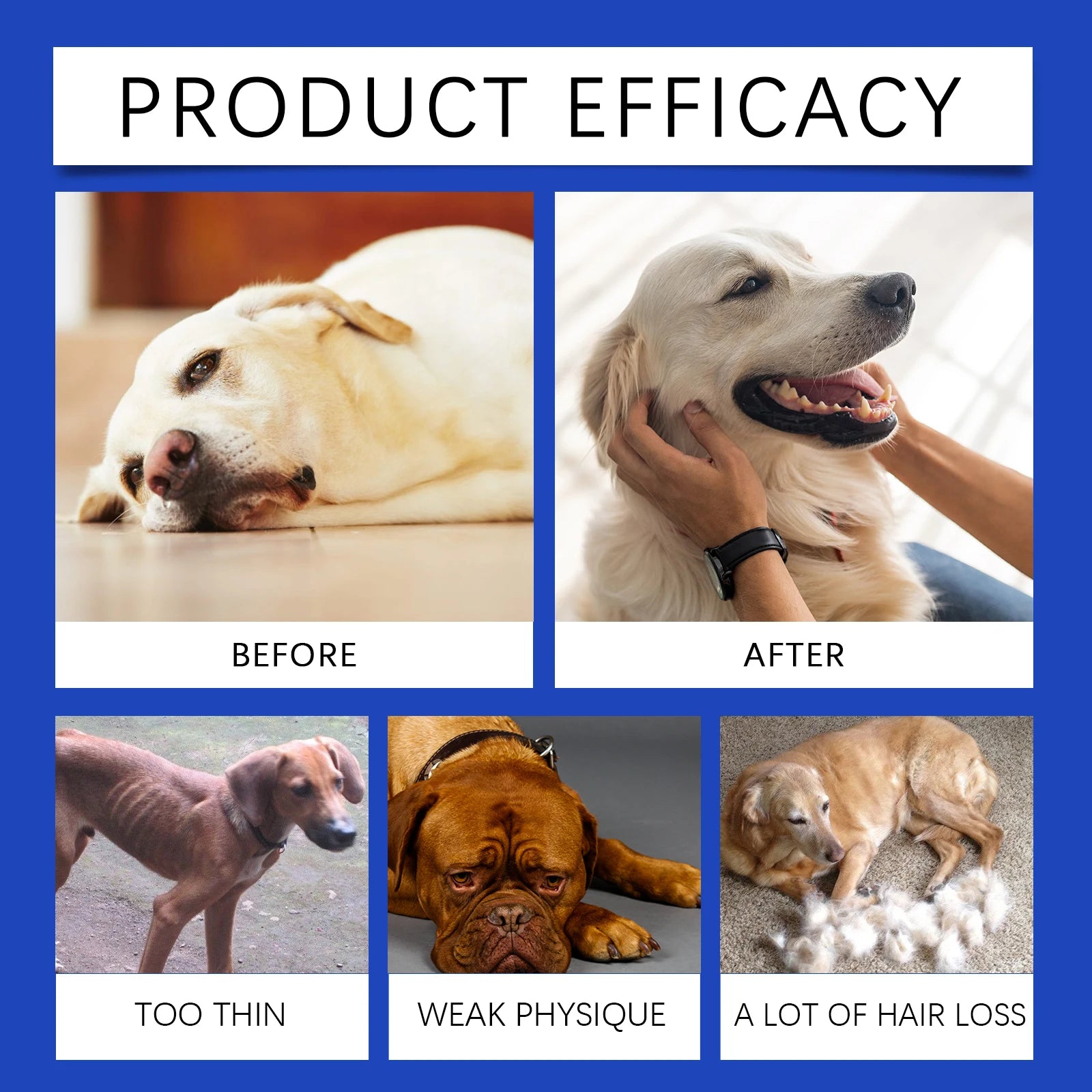 Dog Joint Relief Nutritional Supplement