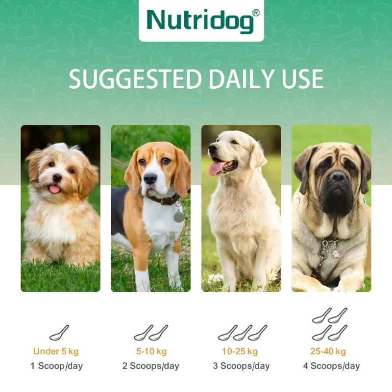Anti-Allergy, Skin & Immune Support Powder For Dogs