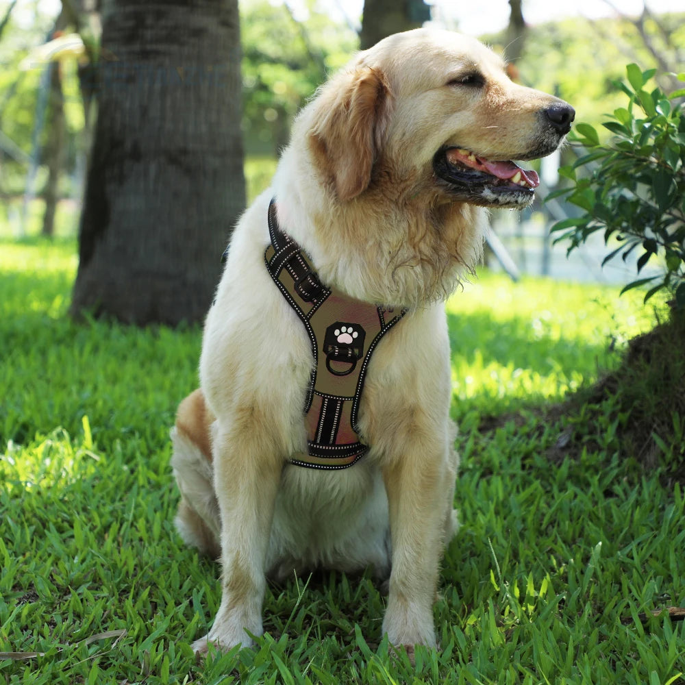 No-Pull Nylon Adjustable Reflective Dog Vest Harness w/ 2 Metal Leash Hooks