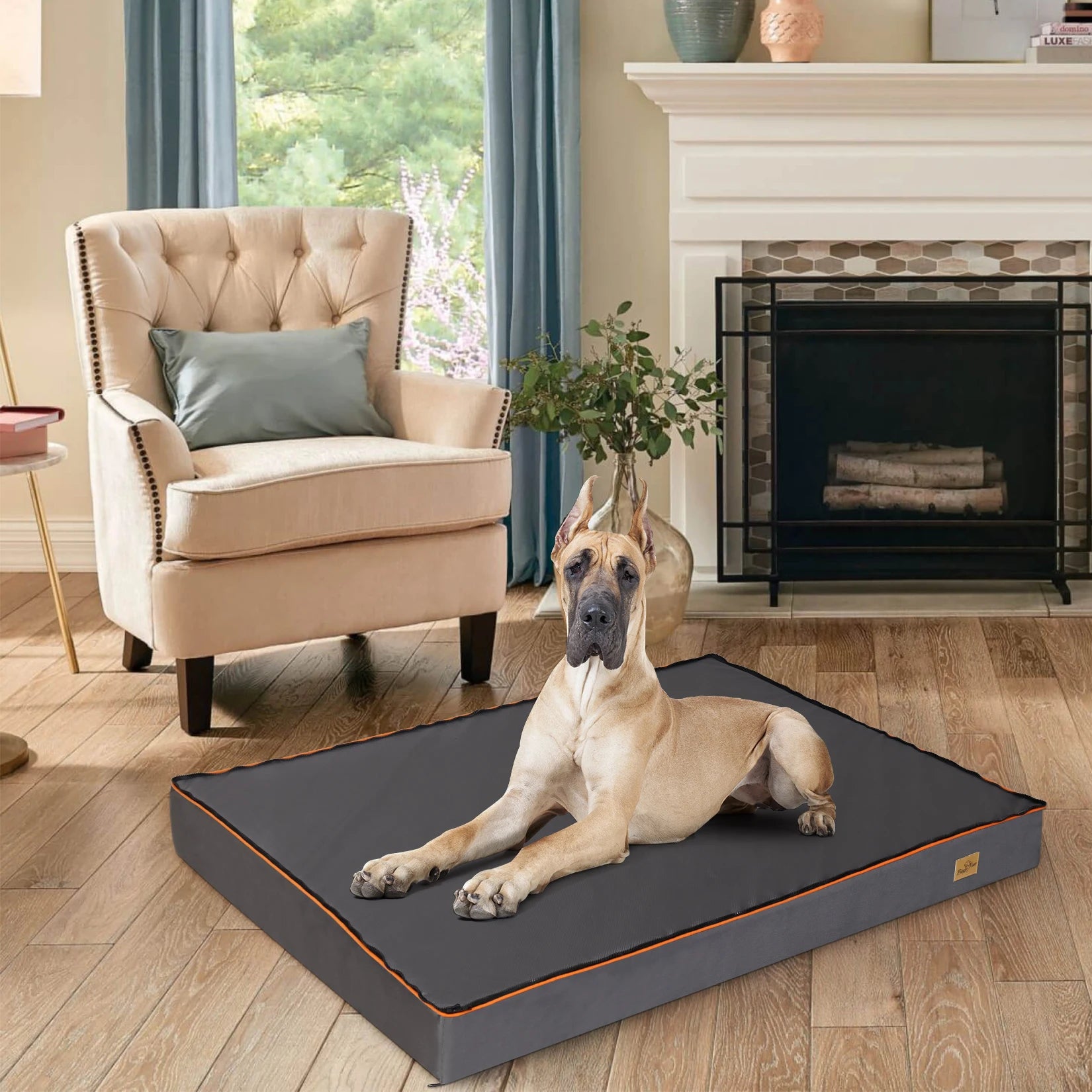 Padded Orthopedic Dog Foam Cushion Bed w/Washable Cover