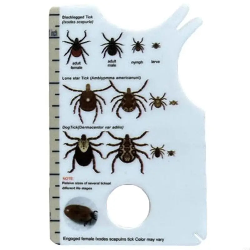 Lightweight Tick Removal Magnifier Card w/Lice Catcher