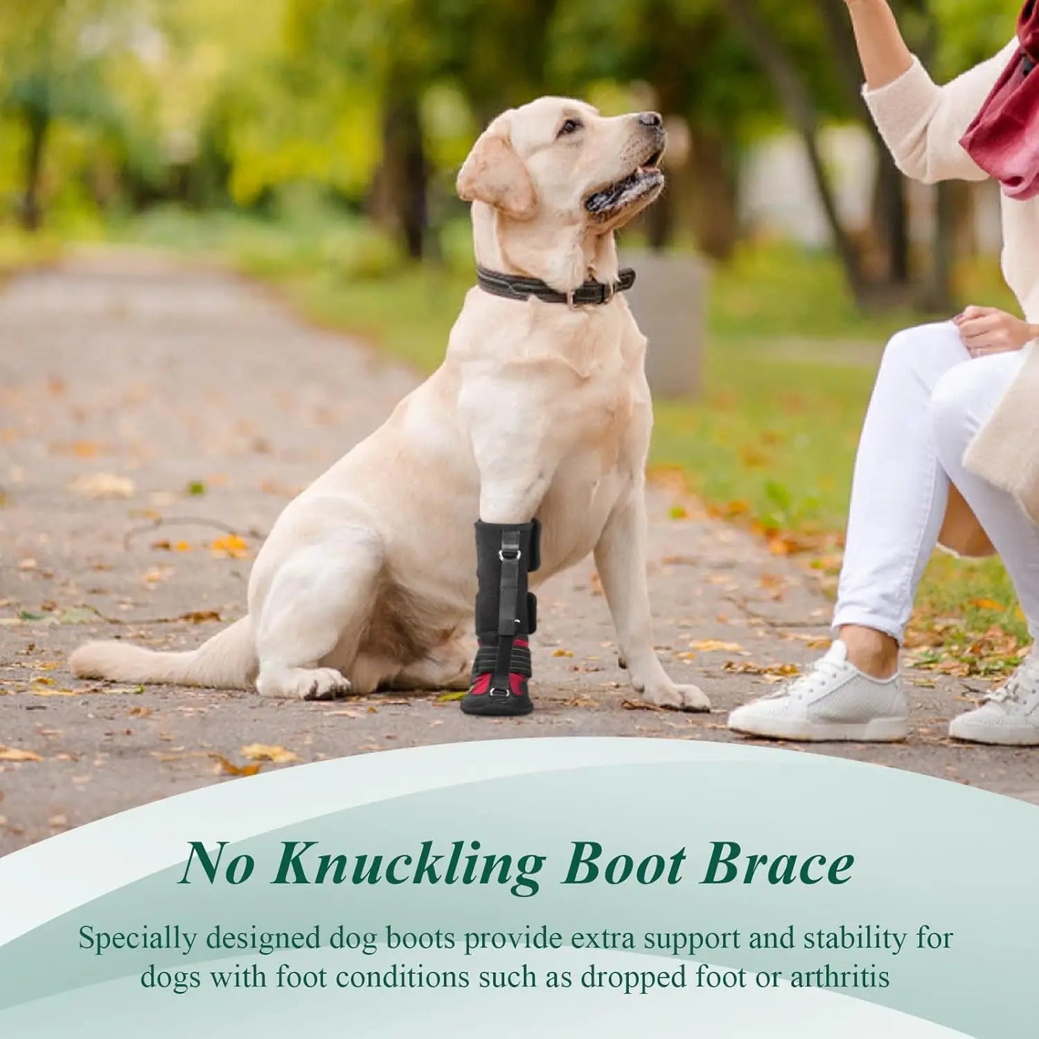 Non-Skid No Knuckling Dog Boot Brace