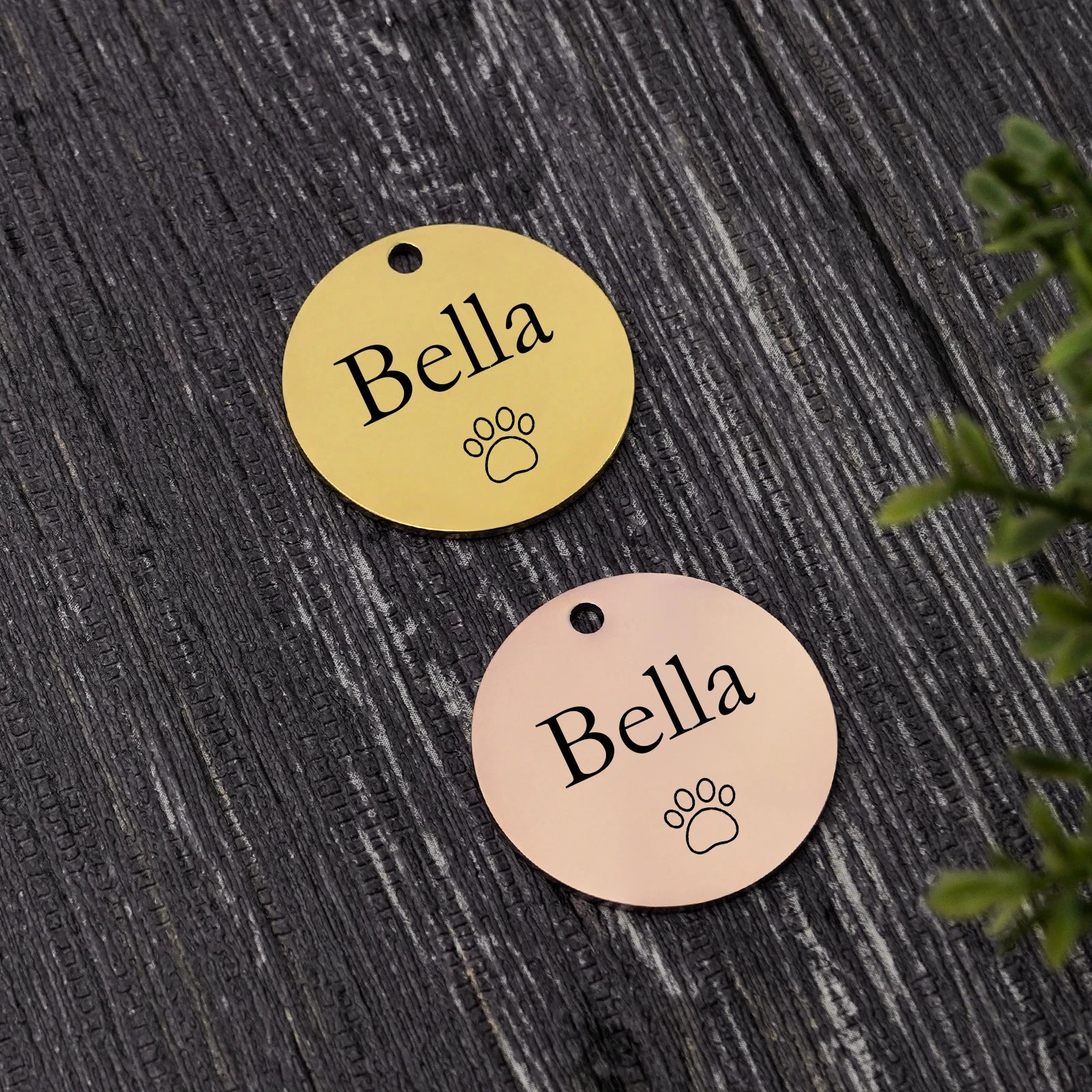 Double-Side Personalized Pet Collar ID Tag