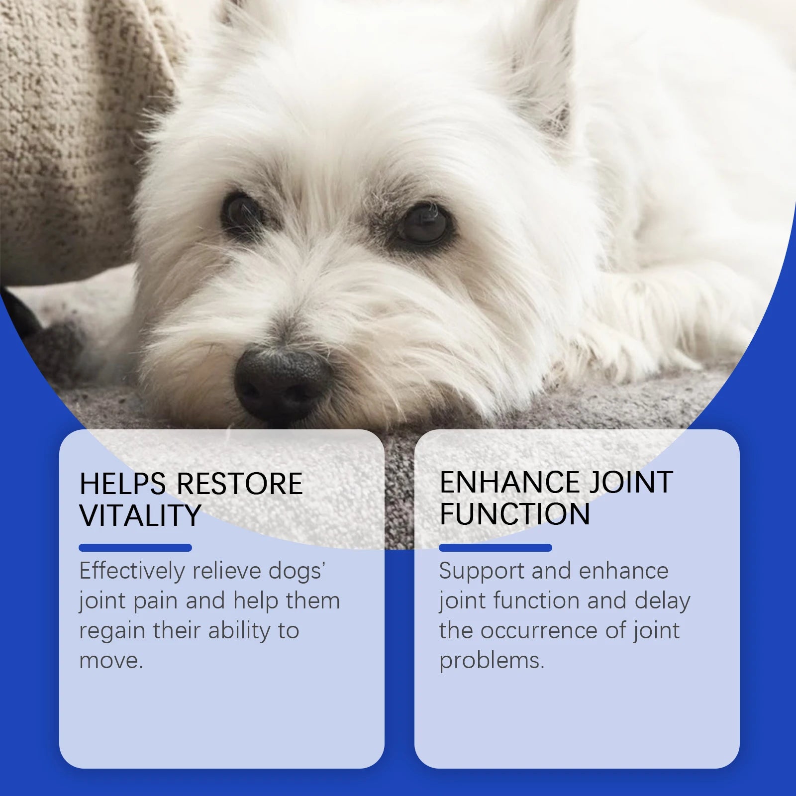 Dog Joint Relief Nutritional Supplement
