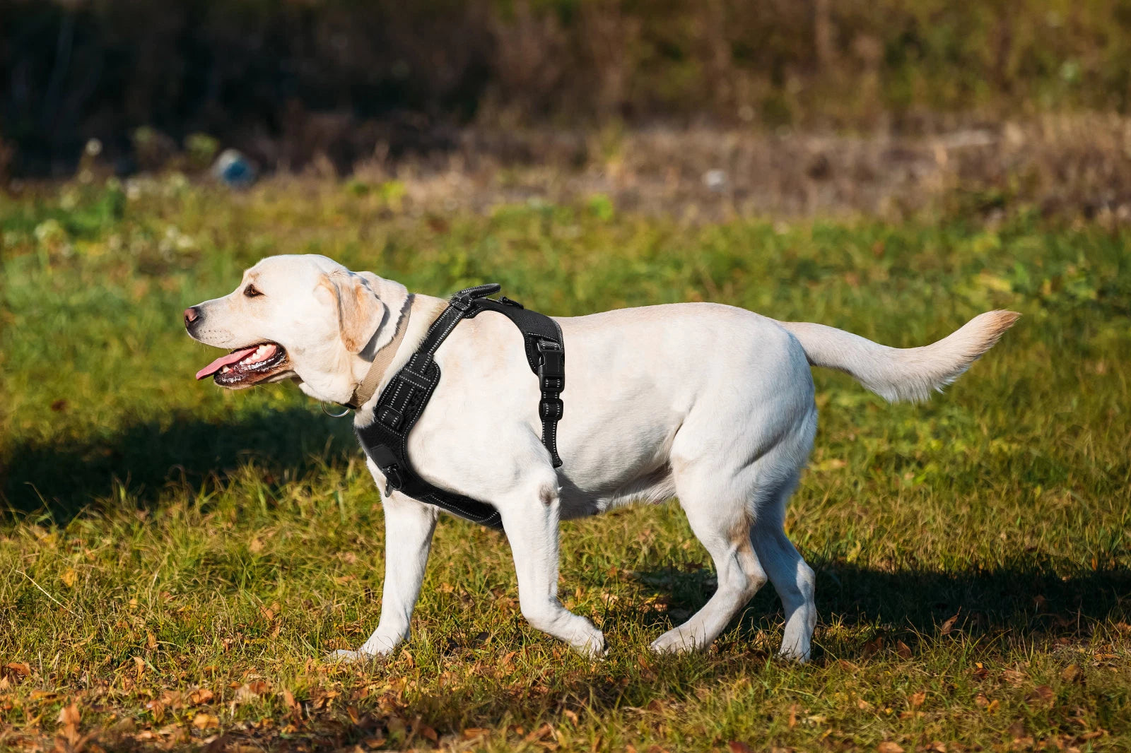 No-Pull Nylon Adjustable Reflective Dog Vest Harness w/ 2 Metal Leash Hooks