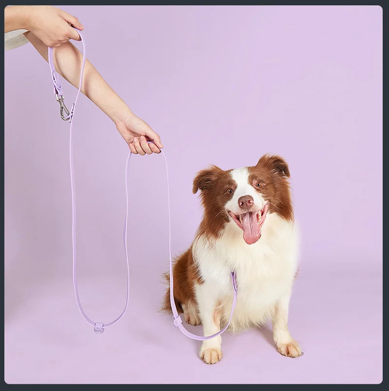 Strong Waterproof Double Head Rubber Dog Leash